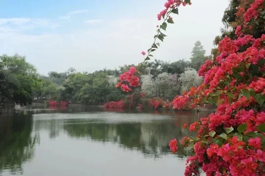 Calabrese Bar Cocktail Shaker Stainless Steel 500ml Bottle Cocktail Shaker Essential Barware Bar Tool for Bartender Drink Party
Calabrese Bar Cocktail Shaker Stainless Steel 500ml Bottle Cocktail Shaker Essential Barware Bar Tool for Bartender Drink Party