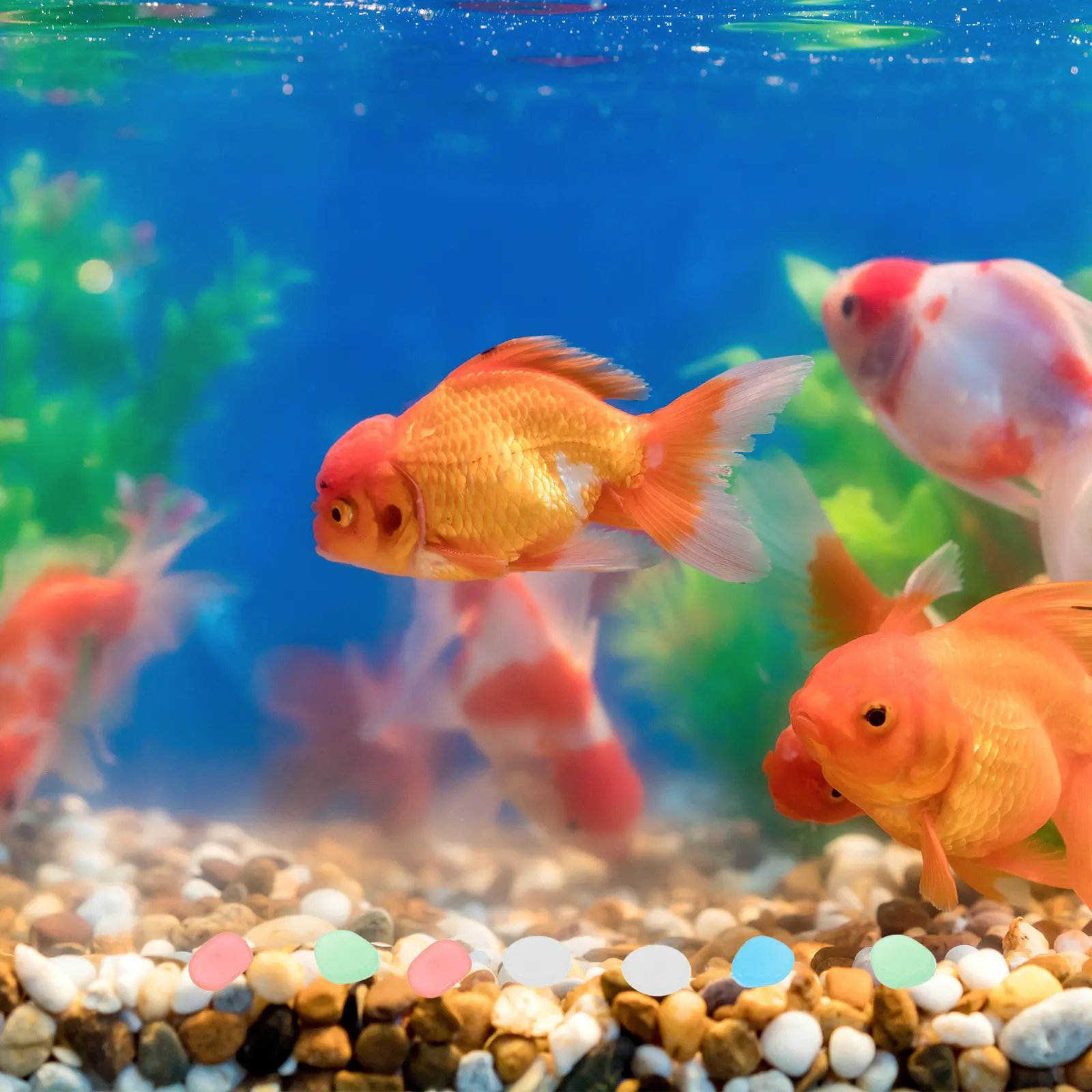 200Pcs Glowing Pebbles for Garden Colorful Glow in The Outdoor Walkway Lawn Landscaping Path Decorative Rocks
200Pcs Glowing Pebbles for Garden Colorful Glow in The Outdoor Walkway Lawn Landscaping Path Decorative Rocks