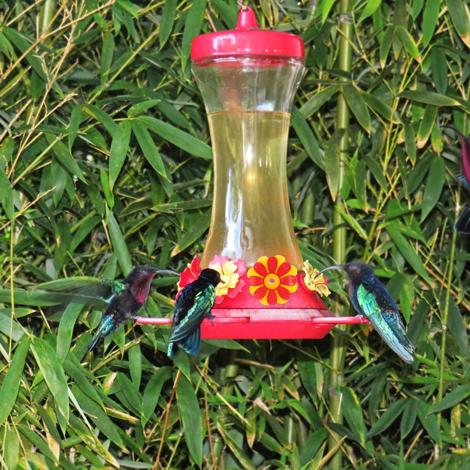 10 Pcs Outdoor Bird Feeder Replacement Flowers Hummingbird Feeders Flower Shape Tools Garden Decor Durable PP Material
10 Pcs Outdoor Bird Feeder Replacement Flowers Hummingbird Feeders Flower Shape Tools Garden Decor Durable PP Material