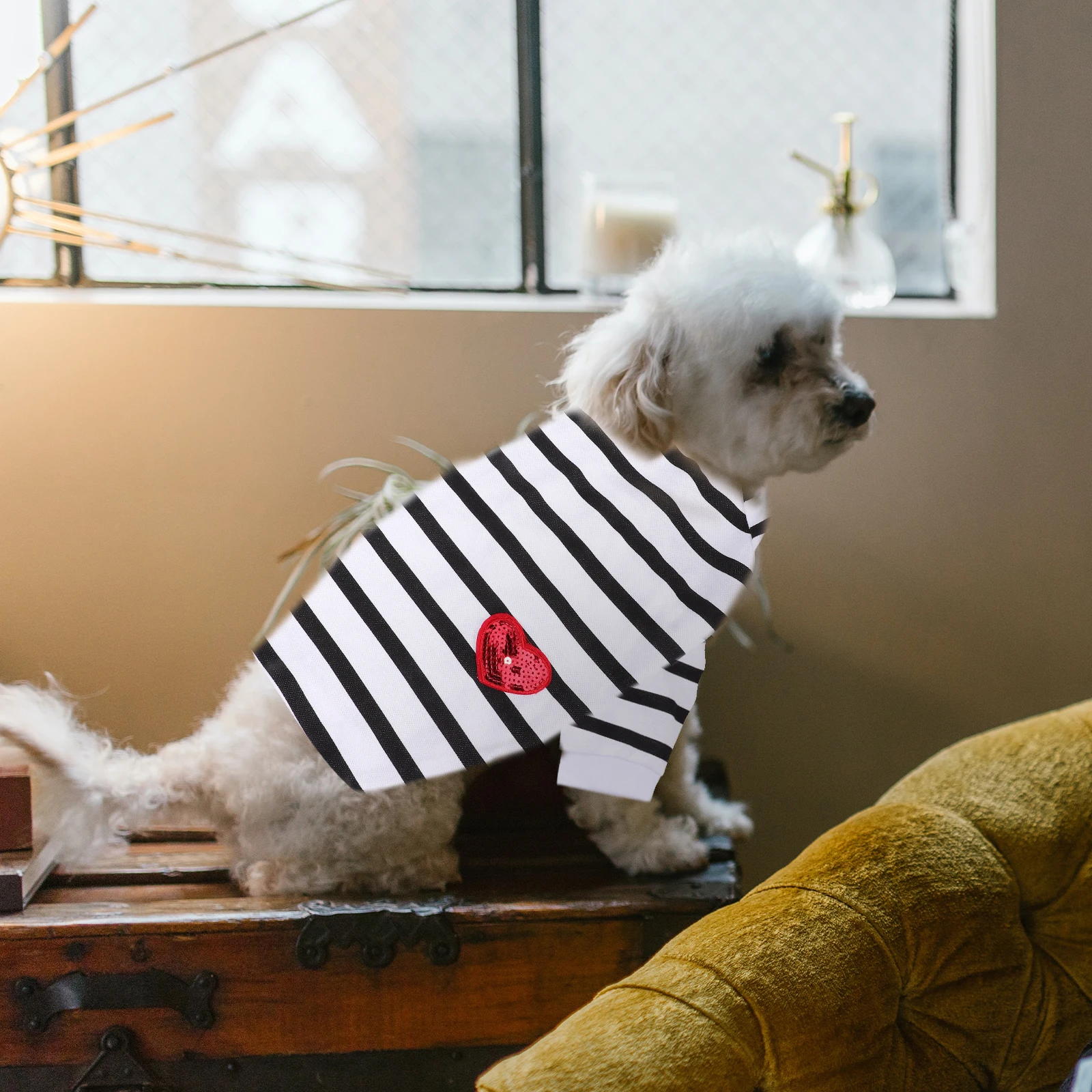 Dog Cotton Shirt Comfortable Tee Pet Clothes Small Dogs Adorable Breathable Shirts Summer Puppy Lightweight Dog Shirts Cat
Dog Cotton Shirt Comfortable Tee Pet Clothes Small Dogs Adorable Breathable Shirts Summer Puppy Lightweight Dog Shirts Cat