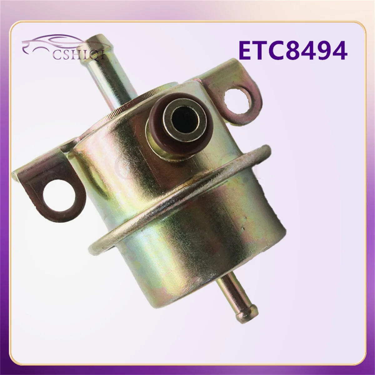 ETC8494 2.5 Bar Fuel Injection Pressure Regulator For Land Rover LR4 LR3 LR2 Classic P38A Discovery Defender 1994-1997 BMW 325E
ETC8494 2.5 Bar Fuel Injection Pressure Regulator For Land Rover LR4 LR3 LR2 Classic P38A Discovery Defender 1994-1997 BMW 325E
