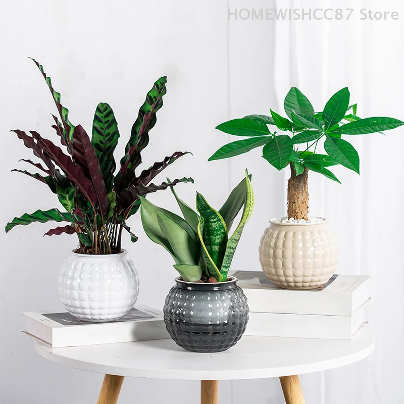Mini Self Watering Flower Pot Fish Tank Transparent Plastic Plant Pots Self Watering Planter Pot Vase For Home Decoration
Mini Self Watering Flower Pot Fish Tank Transparent Plastic Plant Pots Self Watering Planter Pot Vase For Home Decoration