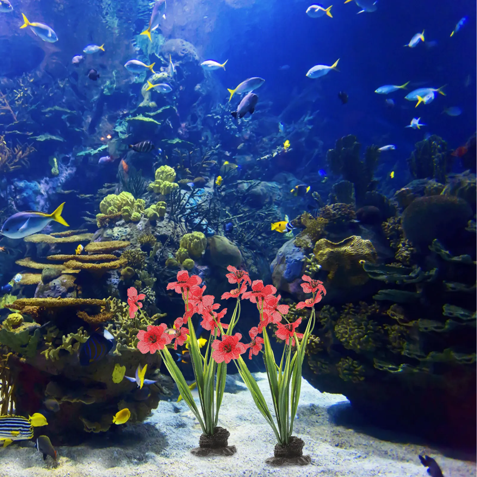 2Pcs Desktop Aquarium Plant Decorative Fake Plant Fish Tank Decoration Premium Material Long Lasting Fish Tank Decoration
2Pcs Desktop Aquarium Plant Decorative Fake Plant Fish Tank Decoration Premium Material Long Lasting Fish Tank Decoration