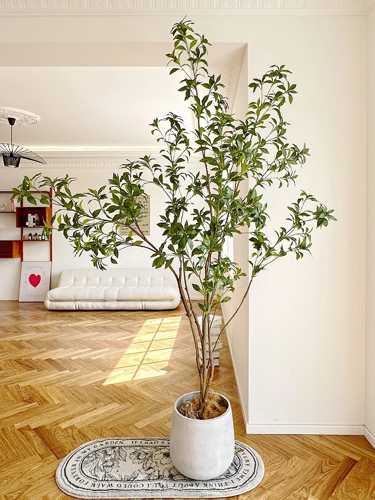 Simulation Green Plant Potted Plant High-end Light Luxury Indoor Living Room Floor Decoration Bionic Plant
Simulation Green Plant Potted Plant High-end Light Luxury Indoor Living Room Floor Decoration Bionic Plant