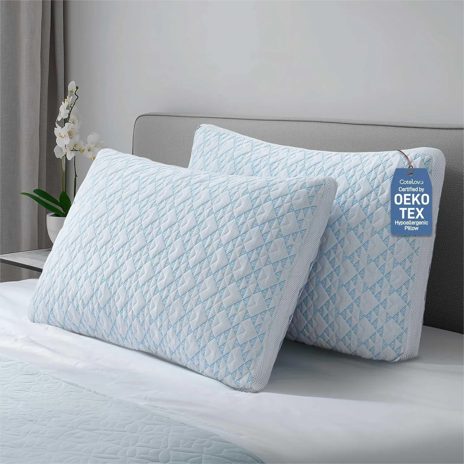 Shredded Memory Foam Pillows Adjustable Queen Size Set of 2 for Side, Back and Stomach Sleepers with Bamboo Viscose Cover
Shredded Memory Foam Pillows Adjustable Queen Size Set of 2 for Side, Back and Stomach Sleepers with Bamboo Viscose Cover