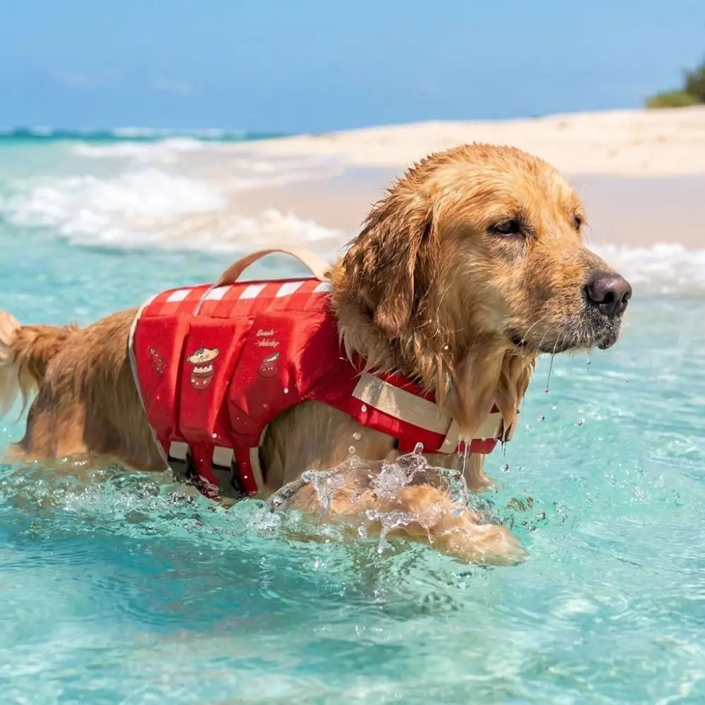 Waterproof Dog Life Jacket Breathable Adjustable Dog Swimming Suit Thick Sponge Pad High Buoyancy Dog Life Preserver Boating
Waterproof Dog Life Jacket Breathable Adjustable Dog Swimming Suit Thick Sponge Pad High Buoyancy Dog Life Preserver Boating
