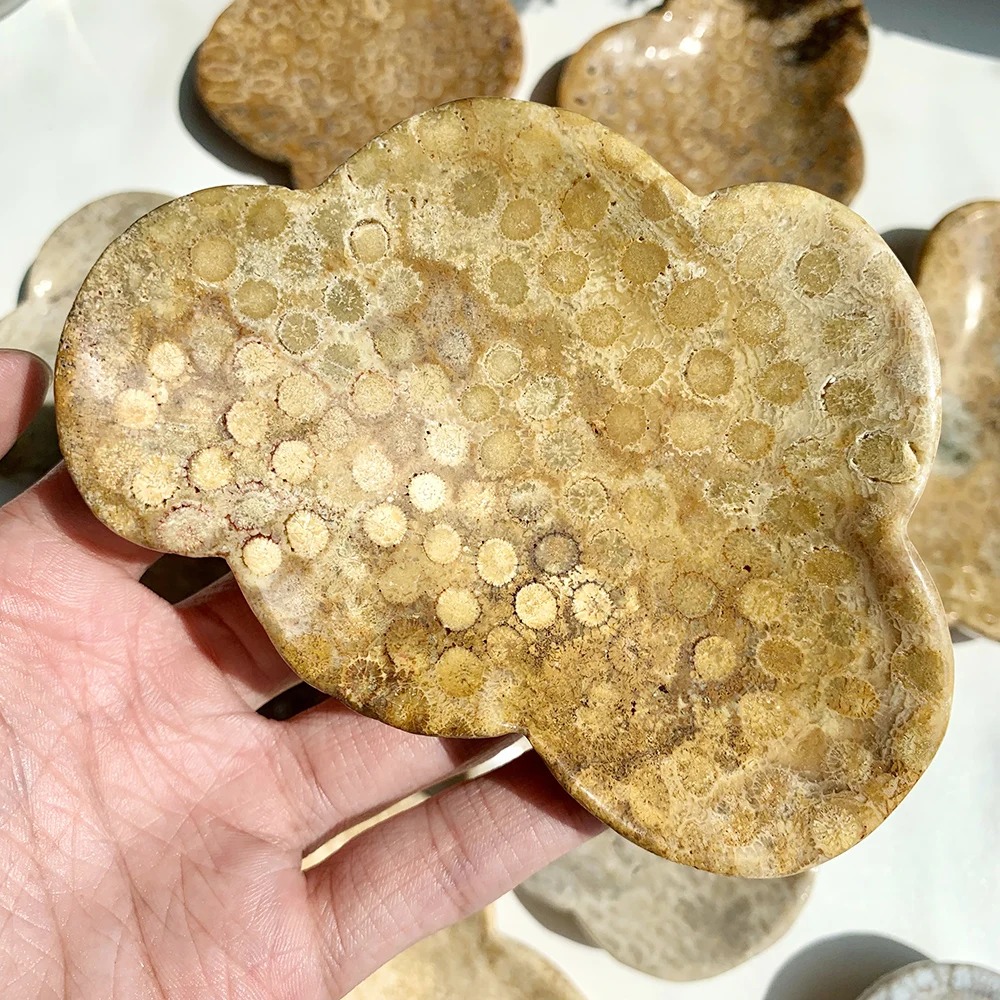 Artificial Coral Jasper Cloud Shaped Bowl Hand Carved Crystal Dish Reiki Healing Home Decor Gift
Artificial Coral Jasper Cloud Shaped Bowl Hand Carved Crystal Dish Reiki Healing Home Decor Gift