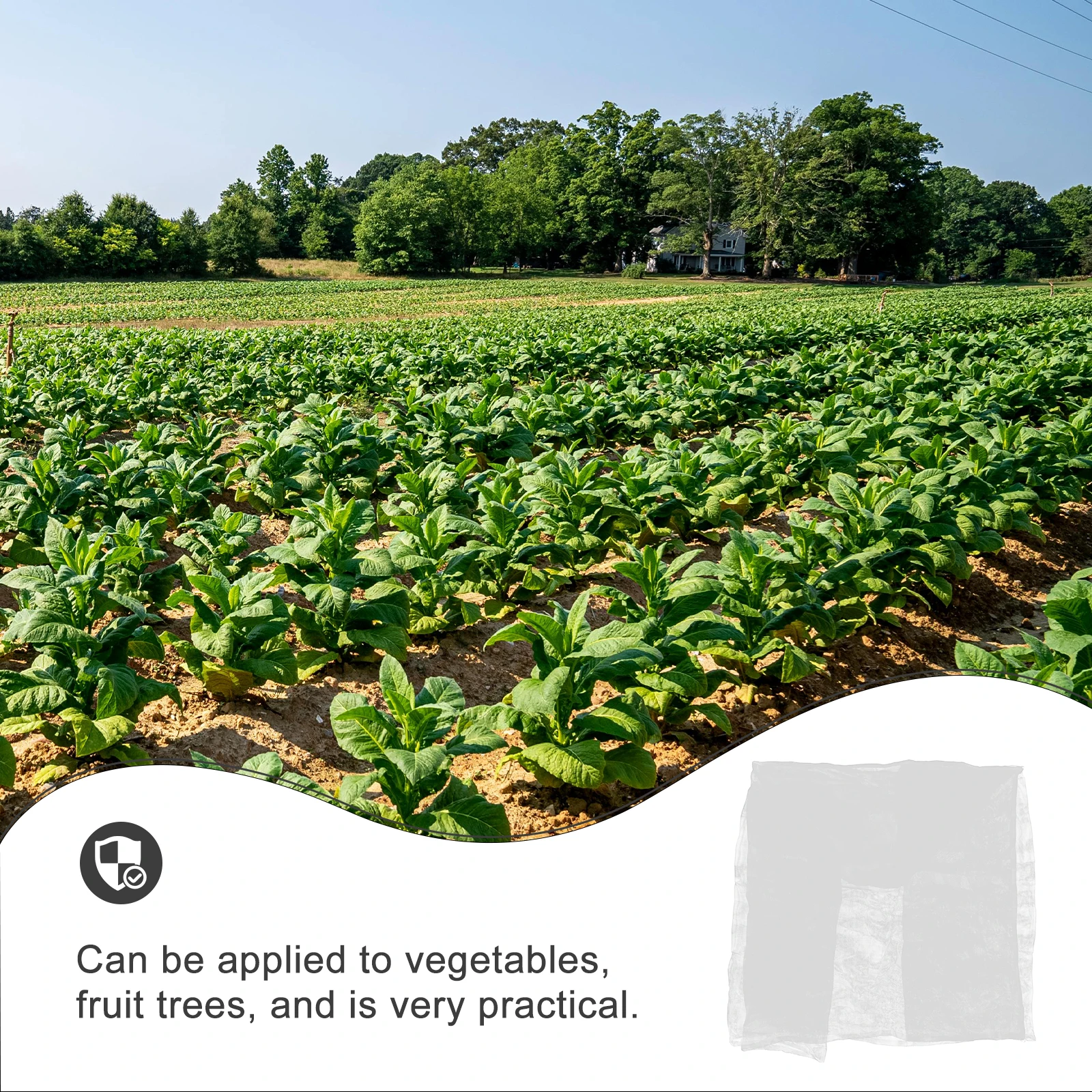 Anti-Bird Netting 2X10M Durable Pe Mesh For Garden Plant Protection Reusable Fruit Tree Cover Outdoor Gardening Supplies
Anti-Bird Netting 2X10M Durable Pe Mesh For Garden Plant Protection Reusable Fruit Tree Cover Outdoor Gardening Supplies