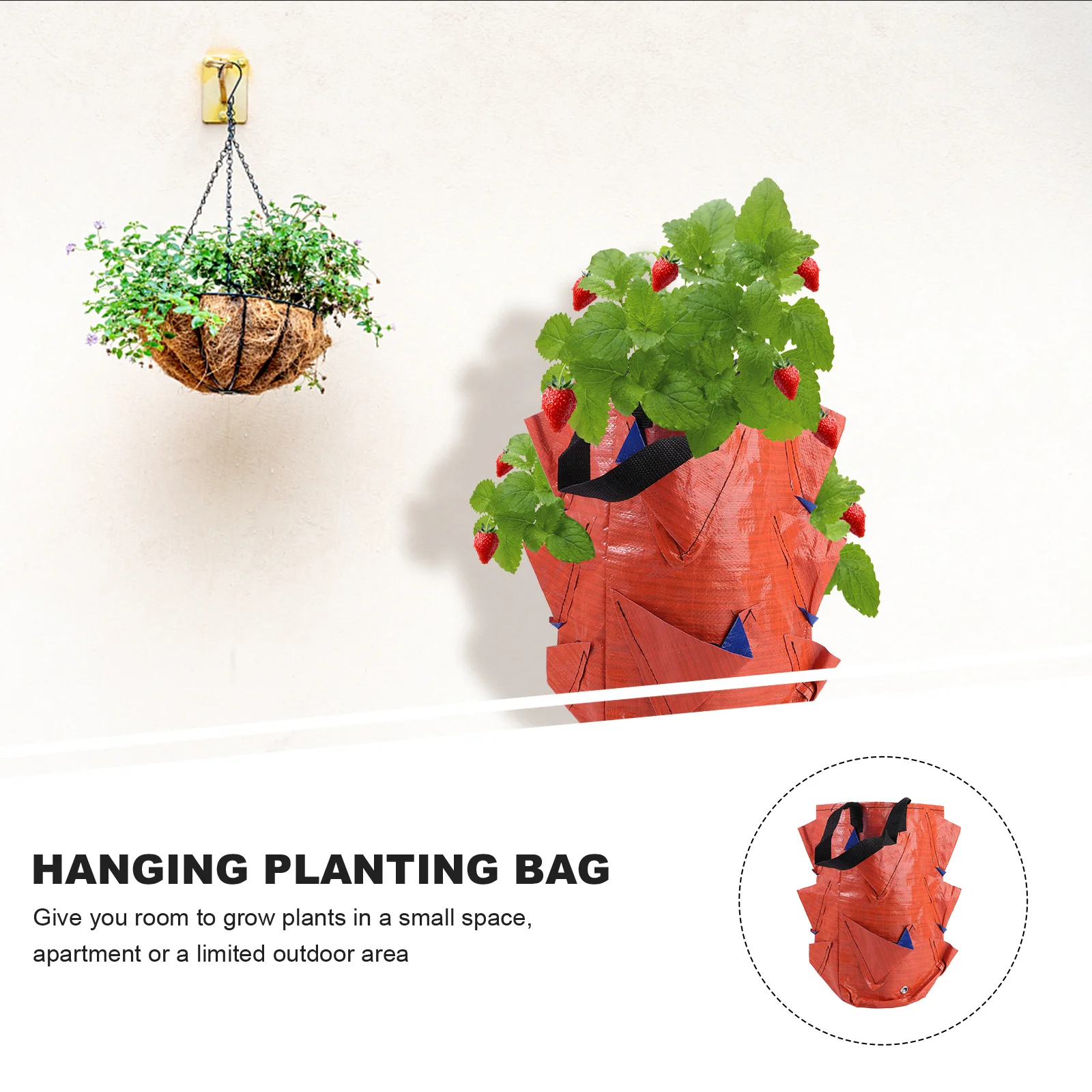 1Pcs Large Capacity 3 Gallon Hanging Plant Bag Multi Pocket Reusable Pe Wall Hanging Nursery Bag for Strawberries Herbs
1Pcs Large Capacity 3 Gallon Hanging Plant Bag Multi Pocket Reusable Pe Wall Hanging Nursery Bag for Strawberries Herbs