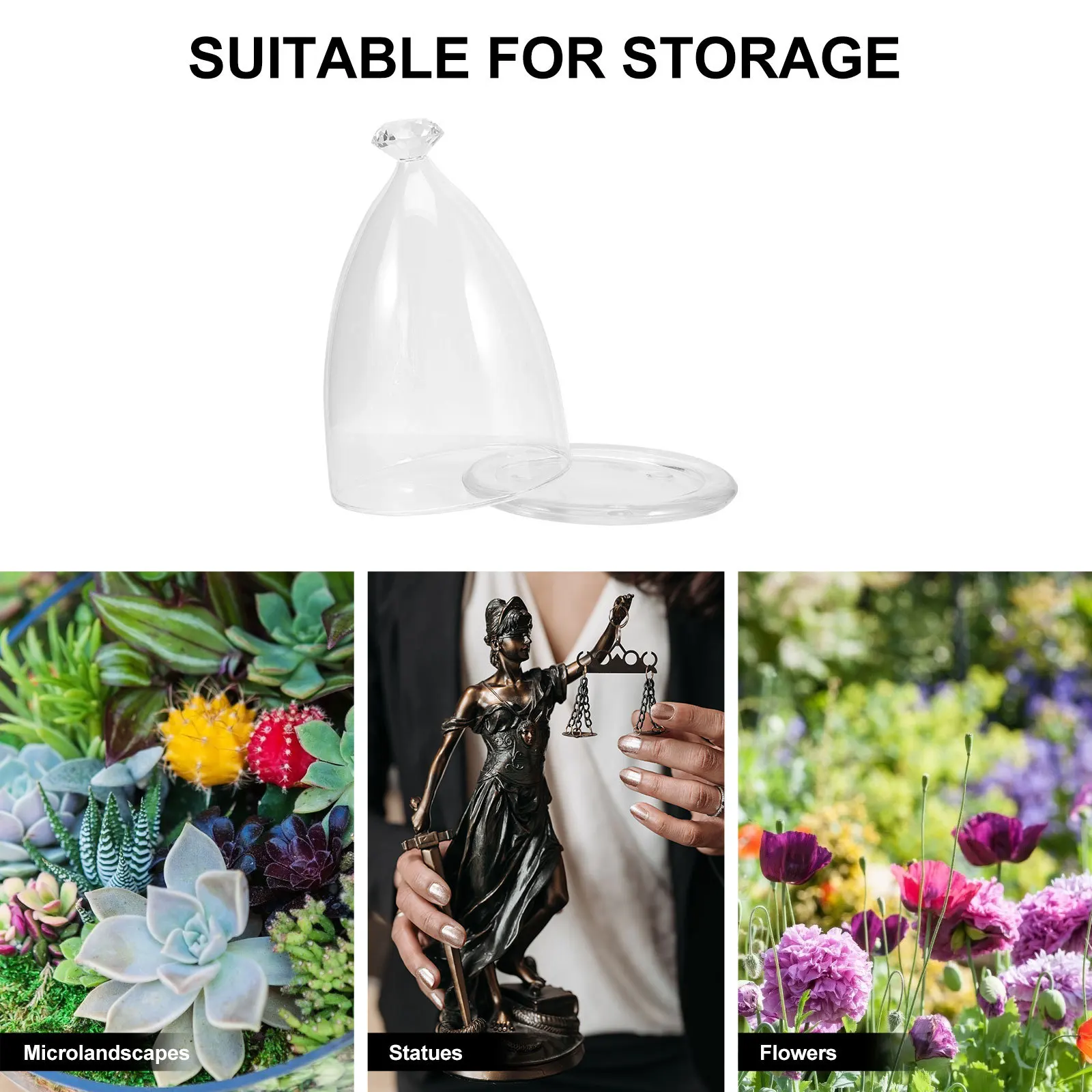 Preserved Flower Glass Dome Clear Display Cover Base Valentine Elegant Desktop Decor Micro Landscape Protector
Preserved Flower Glass Dome Clear Display Cover Base Valentine Elegant Desktop Decor Micro Landscape Protector