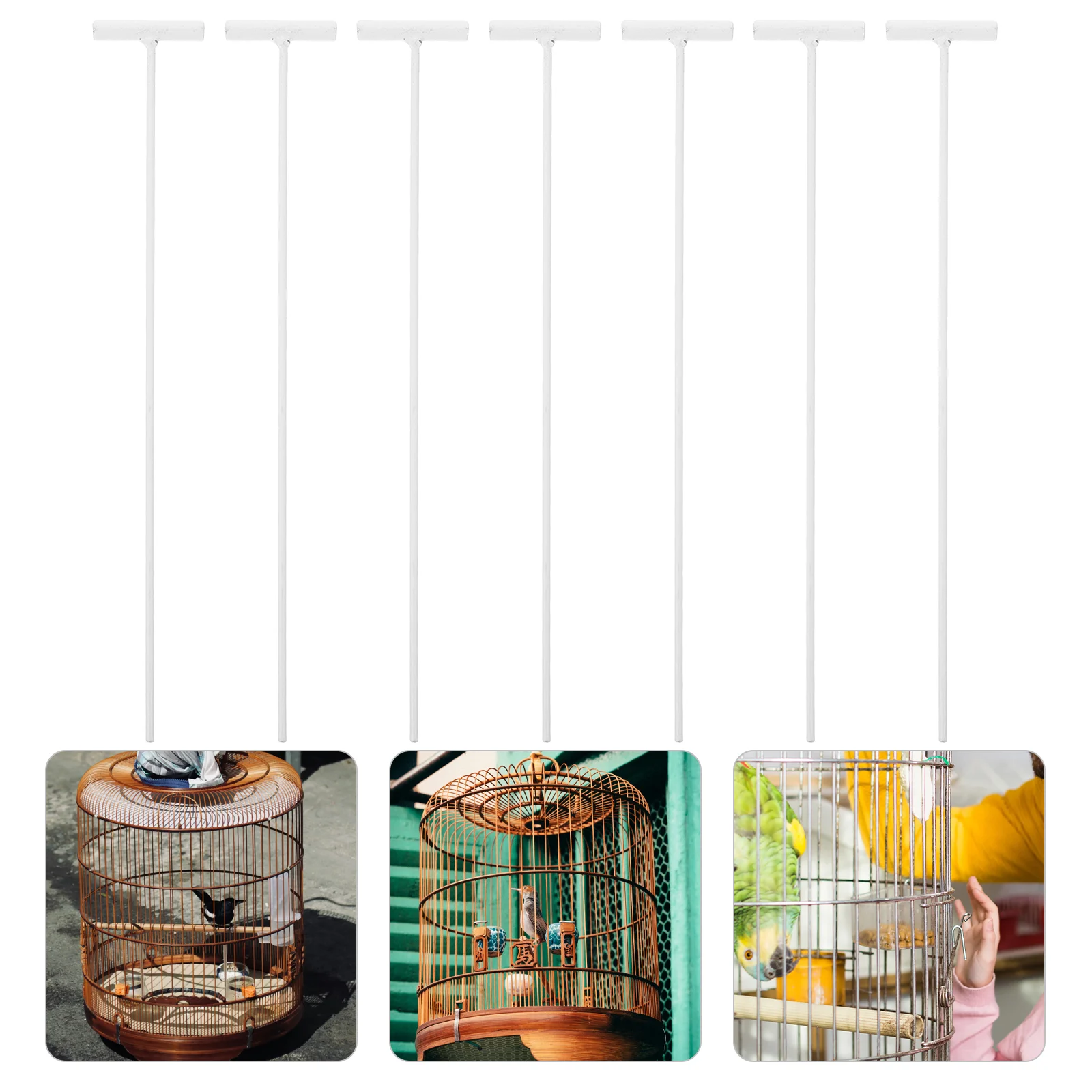 Pigeon Cage 1 way Entry Bird Door Homing Trap Easy Install Safe for Lofts Race Carrier Meat Birds Pet Supplies
Pigeon Cage 1 way Entry Bird Door Homing Trap Easy Install Safe for Lofts Race Carrier Meat Birds Pet Supplies