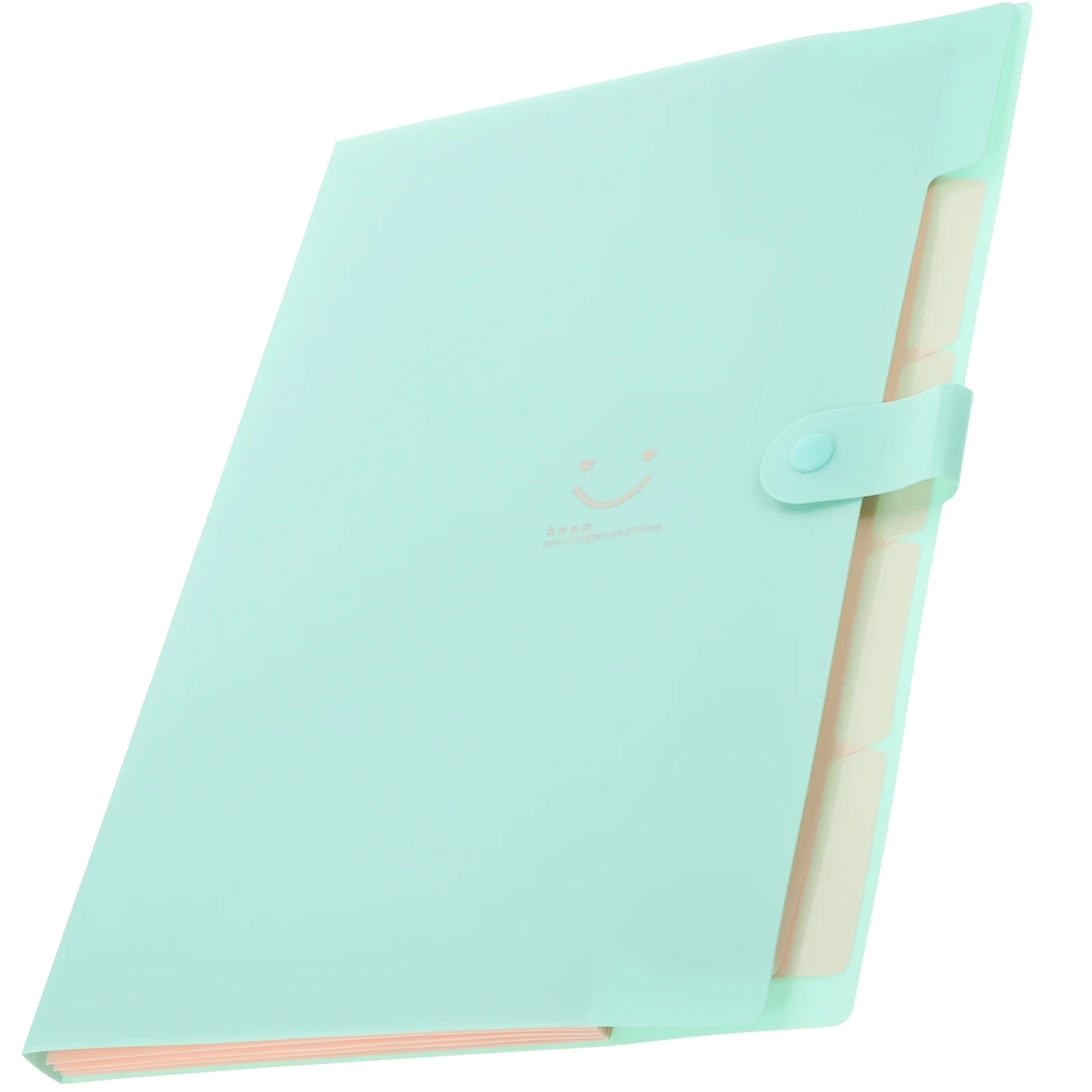 File Folder Document Organizer Expanding Storage Bag Portable Accordion Type For Office Home School Travel
File Folder Document Organizer Expanding Storage Bag Portable Accordion Type For Office Home School Travel
