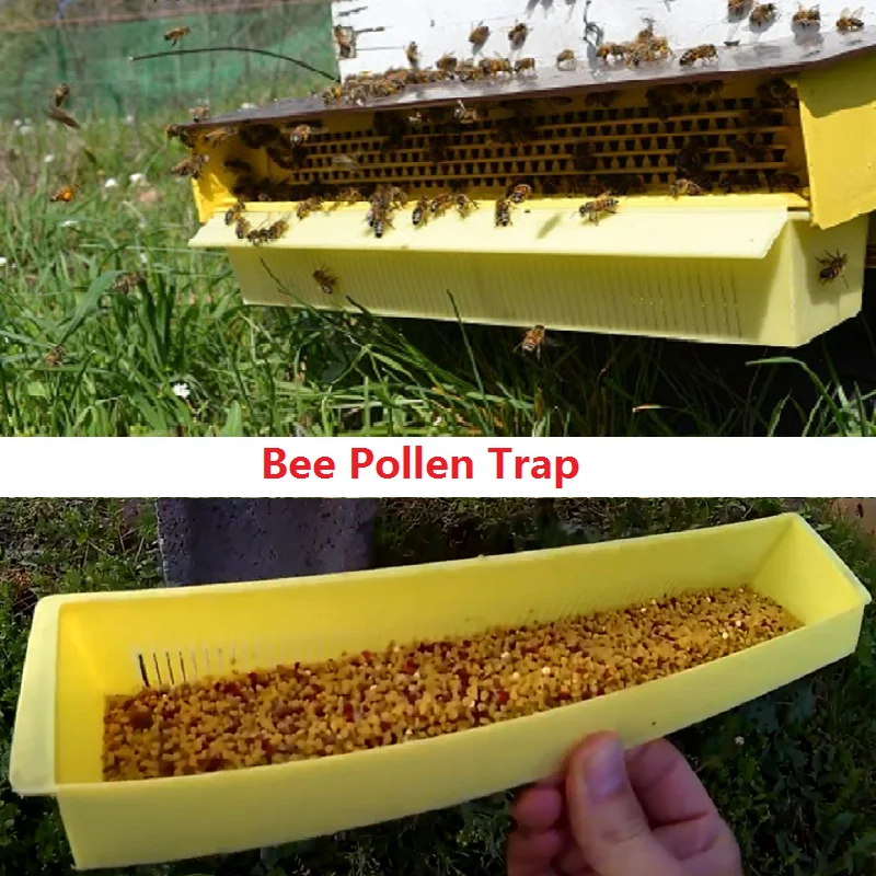 Removable Bee Pollen Trap With Ventilated Pollen Tray Beekeeping Tools Bee Hives Entrance Bee Pollen Collector Beehive Equipment
Removable Bee Pollen Trap With Ventilated Pollen Tray Beekeeping Tools Bee Hives Entrance Bee Pollen Collector Beehive Equipment
