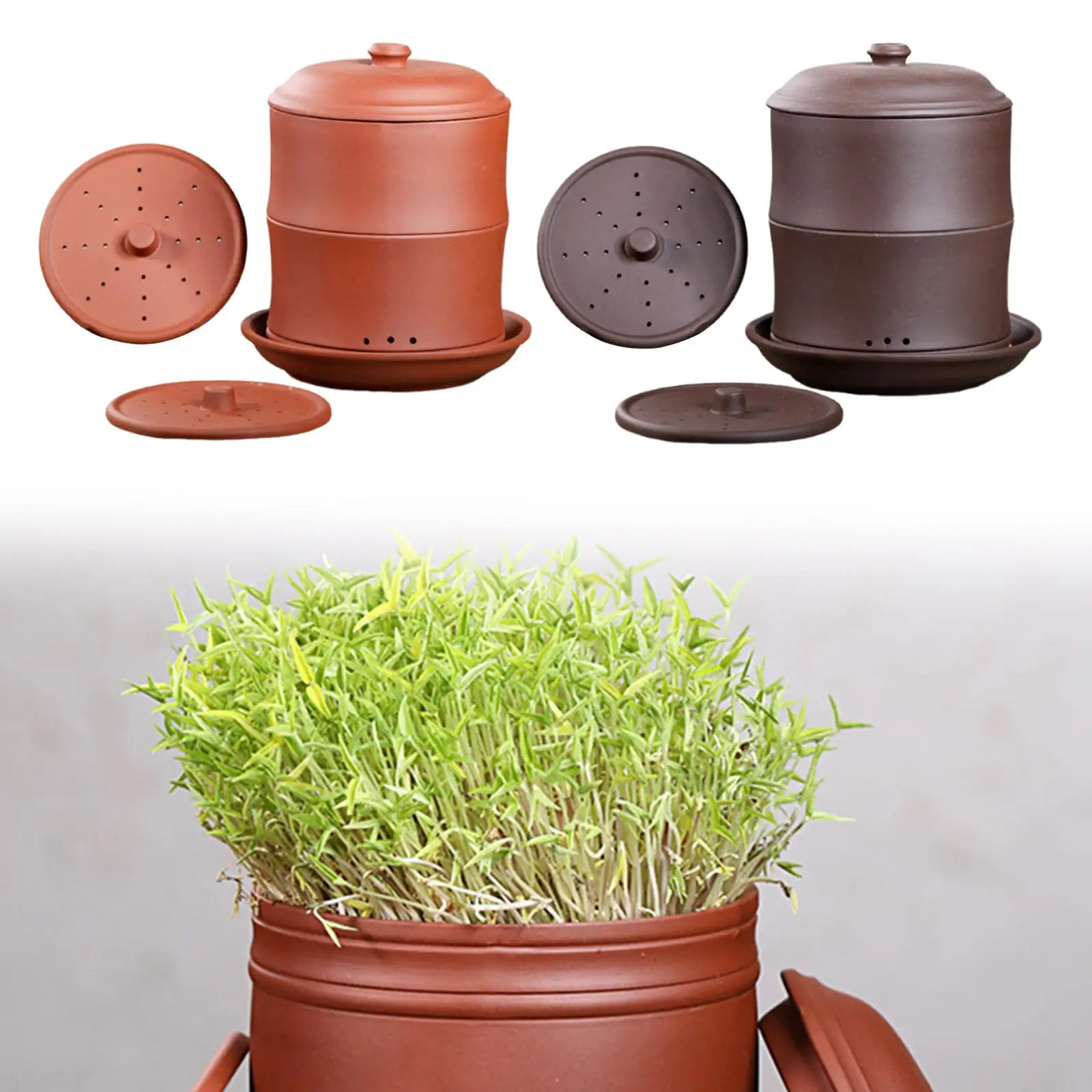 Sprouting Jar Sprout Planting Container Violet Clay Multipurpose Home Garden Supplies Seed Sprouts Tray Germination Plate
Sprouting Jar Sprout Planting Container Violet Clay Multipurpose Home Garden Supplies Seed Sprouts Tray Germination Plate