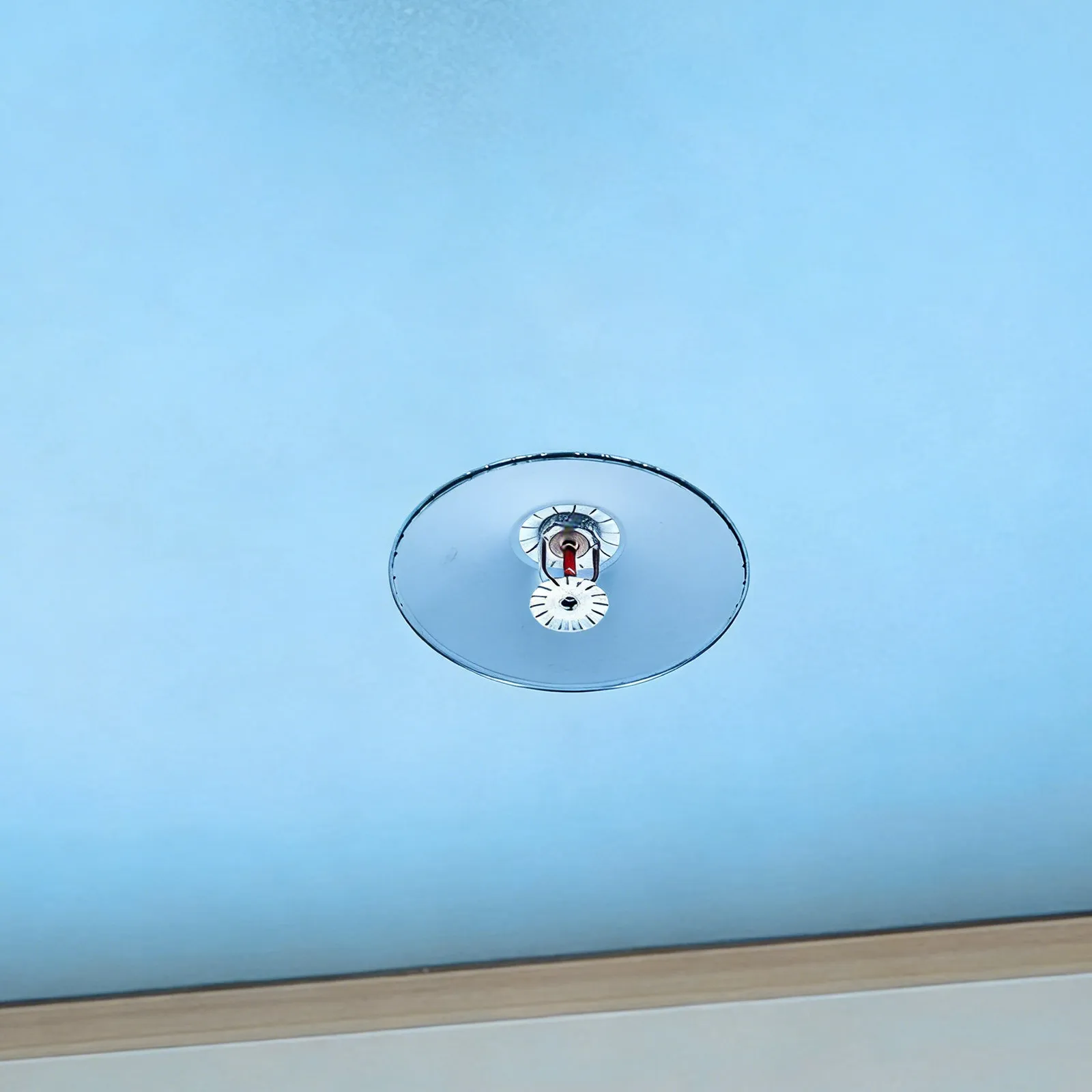 1Set Fire Sprinkler Heat Collecting Cover Plate Stainless Steel Protective Shield Cap for Sprinkler Head Replacement Decoration
1Set Fire Sprinkler Heat Collecting Cover Plate Stainless Steel Protective Shield Cap for Sprinkler Head Replacement Decoration