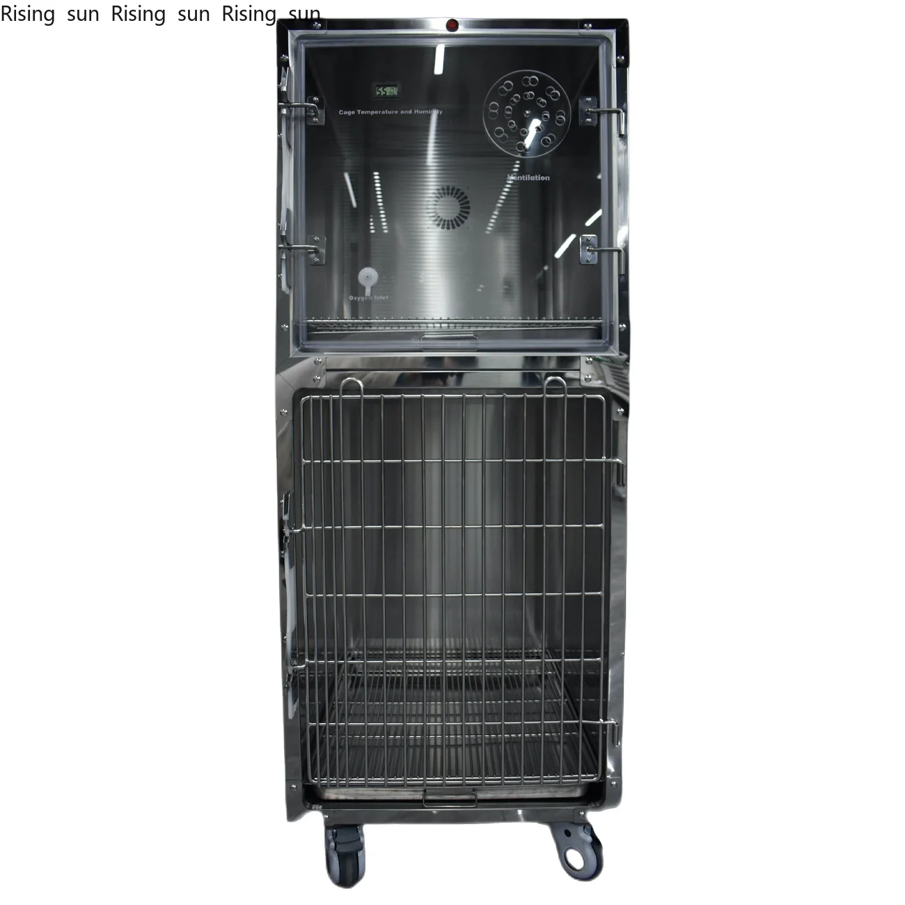 Yishanghe Hot Sell Dog Kennel Pet Cage Mental Cage Easy to Clean for Animal Clinic
Yishanghe Hot Sell Dog Kennel Pet Cage Mental Cage Easy to Clean for Animal Clinic