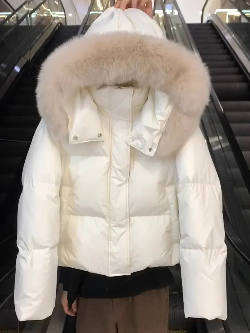 Korean Style Women's Short Bread Jacket Loose Fit Cotton Coat Winter Fashion Small Size Friendly Bread Coat Outerwear
Korean Style Women's Short Bread Jacket Loose Fit Cotton Coat Winter Fashion Small Size Friendly Bread Coat Outerwear