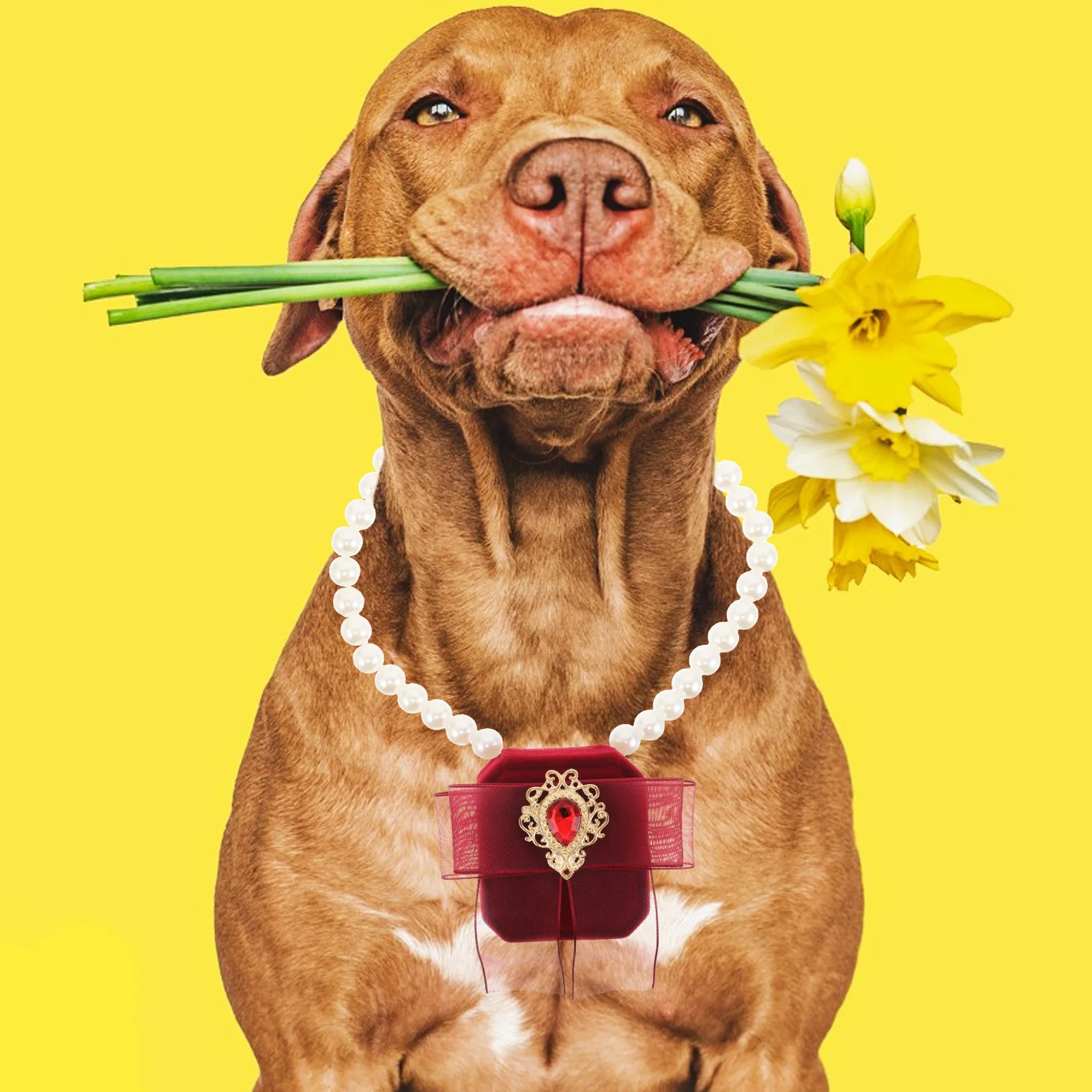 Dog Collar Pendant Ring Holder Mini Wedding Pet Necklace Accessories Proposal Engagement Dog Pearls Necklace Bag Pendant
Dog Collar Pendant Ring Holder Mini Wedding Pet Necklace Accessories Proposal Engagement Dog Pearls Necklace Bag Pendant