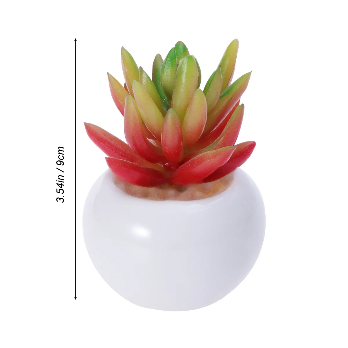 4Pcs Mini Artificial Succulent Plants Faux Decorative Simulation Multicolor Simulation Plants for Office Desk Bedroom Living 
4Pcs Mini Artificial Succulent Plants Faux Decorative Simulation Multicolor Simulation Plants for Office Desk Bedroom Living