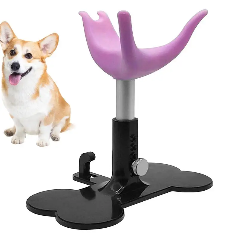 Small Pet Grooming Chair Standing Up Bathing Support Height Adjustable Assistive Ladder Stand Bench Non Slip For Bathing
Small Pet Grooming Chair Standing Up Bathing Support Height Adjustable Assistive Ladder Stand Bench Non Slip For Bathing