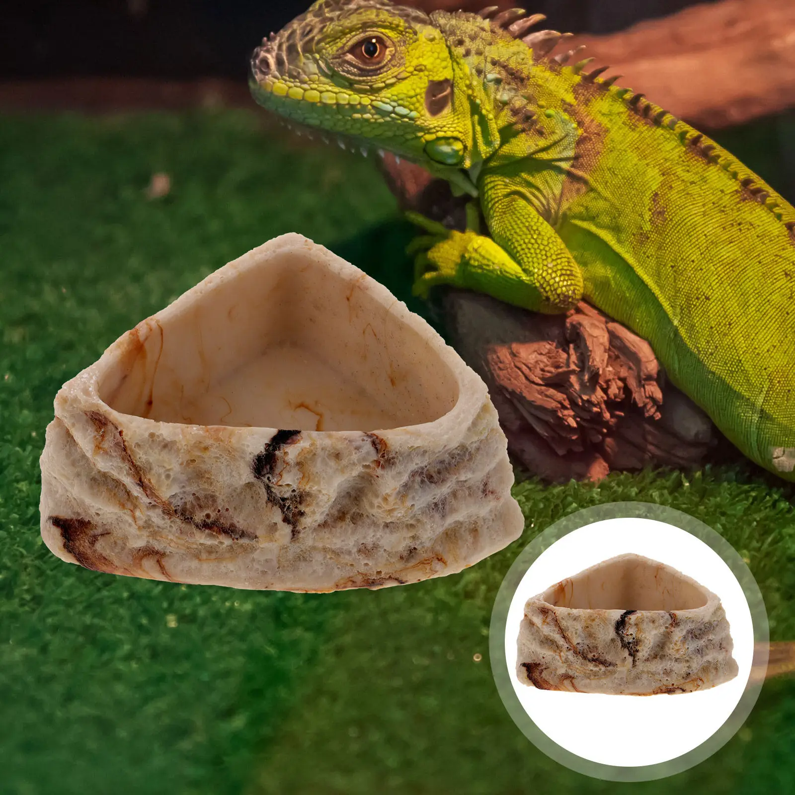 Resin Reptile Feeding Bowl Food Water Dish for Crawler Pets Gecko Bearded Dragon Snake Tortoise Lizard Hedgehog
Resin Reptile Feeding Bowl Food Water Dish for Crawler Pets Gecko Bearded Dragon Snake Tortoise Lizard Hedgehog