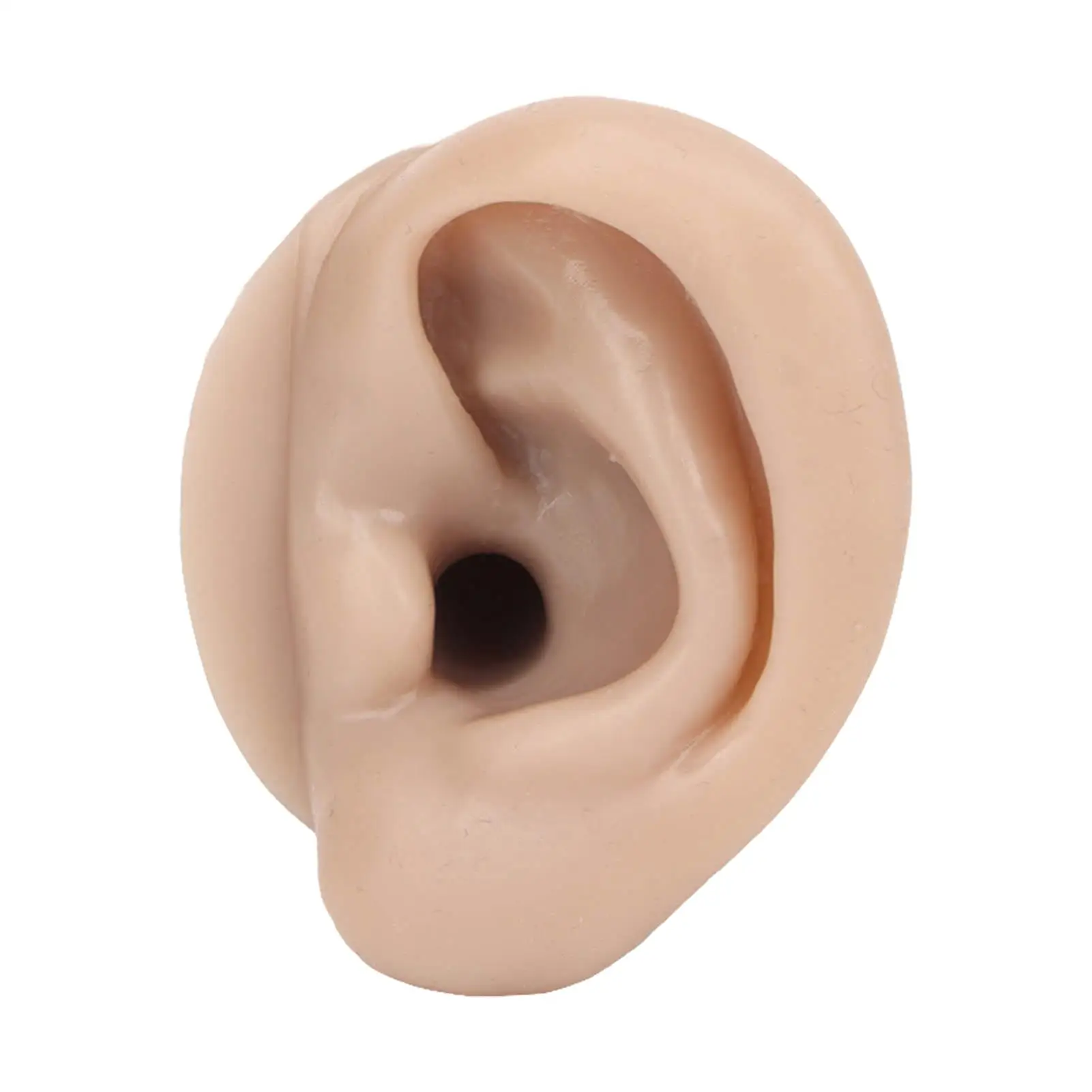 Силиконовая тренировочная модель для пирсинга и ушей темного цвета для салона: многоразовые учебные пособия
Силиконовая тренировочная модель для пирсинга и ушей темного цвета для салона: многоразовые учебные пособия