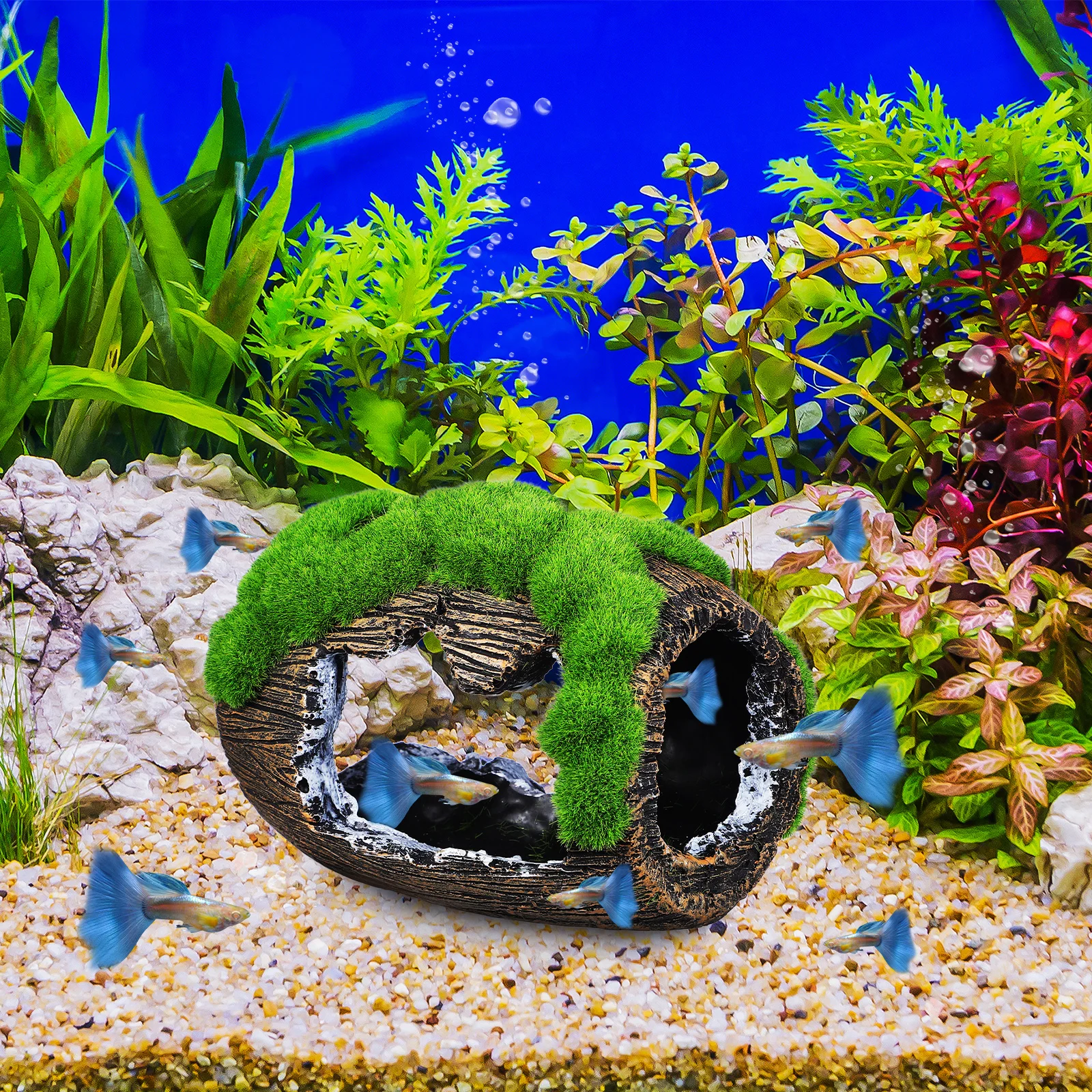Epmc Betta Aquarium Decorations House Mossy Barrel Cave Aquarium Decor Fish Fish Tank Decor Tank Decoration
Epmc Betta Aquarium Decorations House Mossy Barrel Cave Aquarium Decor Fish Fish Tank Decor Tank Decoration