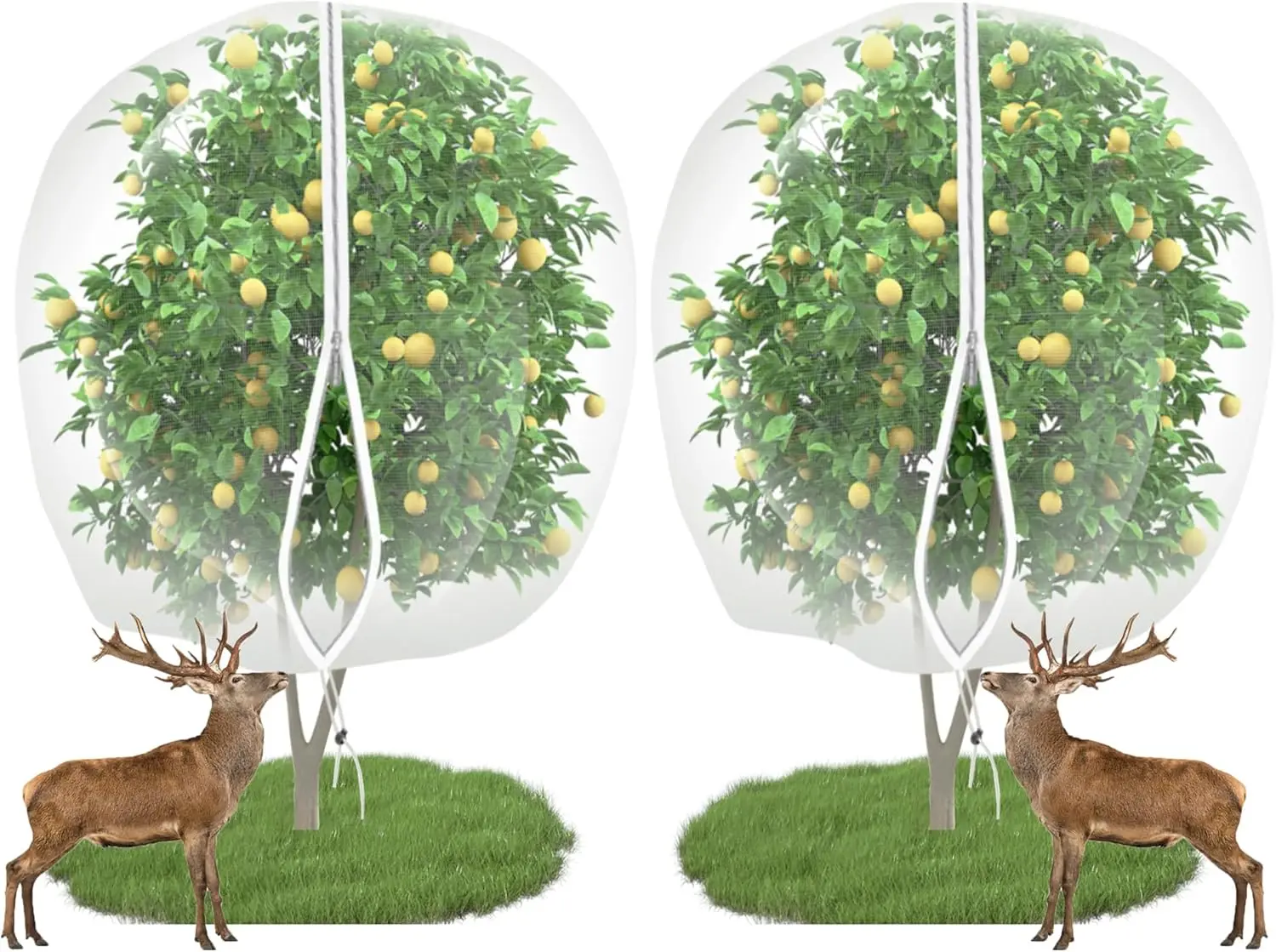 15x15 ft Large Fruit Tree Netting with Zipper - 2 Pack Heavy Duty Tree Cover for Birds, Squirrels, Pests, White
15x15 ft Large Fruit Tree Netting with Zipper - 2 Pack Heavy Duty Tree Cover for Birds, Squirrels, Pests, White