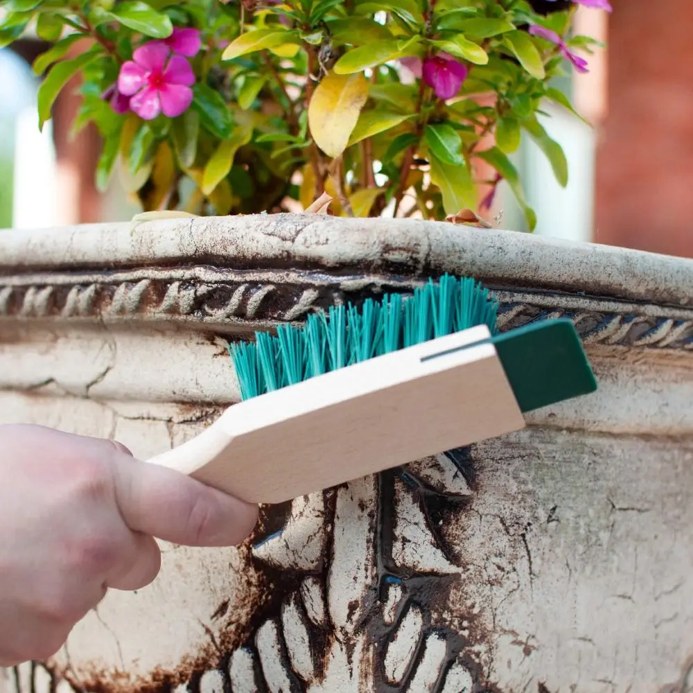 Portable Outdoor Scraper Brush Plastic Durable Lawn Mower Cleaning Brush Green Wooden Handle Clean Scraper Brush
Portable Outdoor Scraper Brush Plastic Durable Lawn Mower Cleaning Brush Green Wooden Handle Clean Scraper Brush