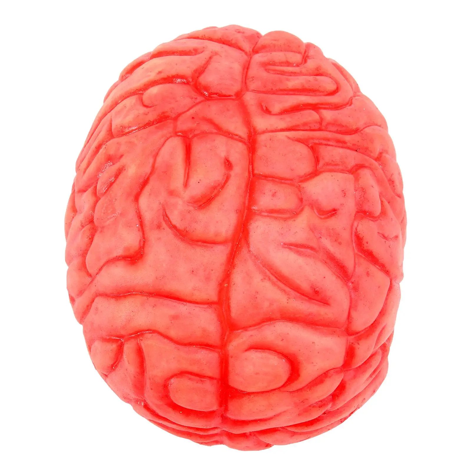 Life Size Realistic Human Brain Props Scary Squeeze Effect Halloween Decorations Fake Body Parts Stage Cosplay Prank Toys Bloody
Life Size Realistic Human Brain Props Scary Squeeze Effect Halloween Decorations Fake Body Parts Stage Cosplay Prank Toys Bloody