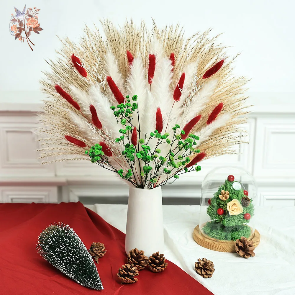 55pcs Dried Flowers Bouquet Christmas Decorations Indoor Natural Fluffy Pampas Grass Baby Breath Bundles Home Table Vase Filler
55pcs Dried Flowers Bouquet Christmas Decorations Indoor Natural Fluffy Pampas Grass Baby Breath Bundles Home Table Vase Filler