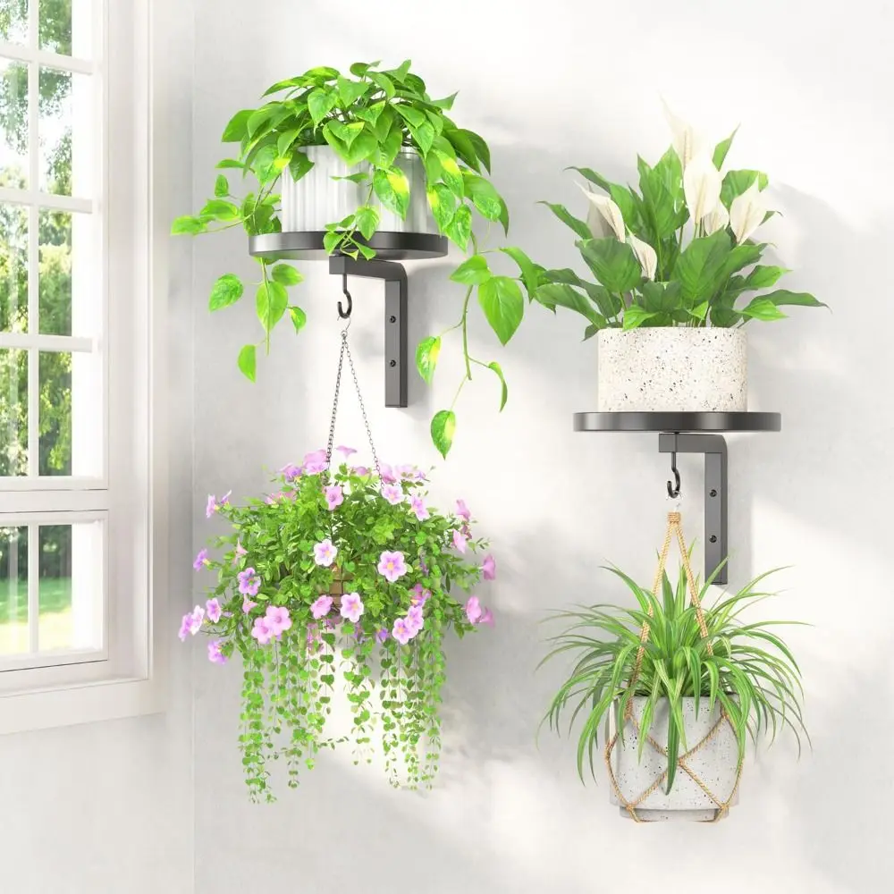 Metal Plant Hangers Space Saving with Hooks Floating Flower Display Stand Multifunctional Wall Mounted Plant Holders
Metal Plant Hangers Space Saving with Hooks Floating Flower Display Stand Multifunctional Wall Mounted Plant Holders