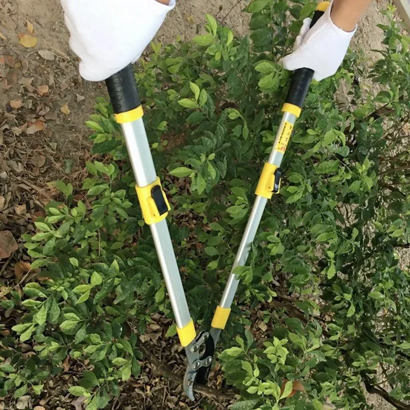 Branch Stretchable Garden SK5 Steel Garden Scissors Tool Professional Hand Tools Gardening Fruit Tree Pruning Shears
Branch Stretchable Garden SK5 Steel Garden Scissors Tool Professional Hand Tools Gardening Fruit Tree Pruning Shears