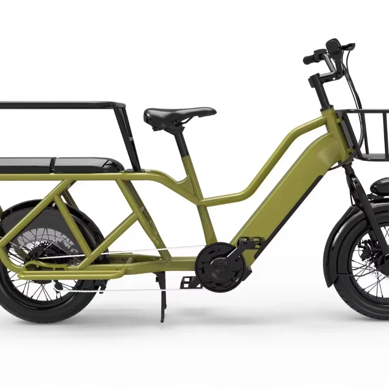 Two Wheels E-Cargo Family Food Delivery Bakfiets Long Tail Fat Tire Electric Cargo Bike
Two Wheels E-Cargo Family Food Delivery Bakfiets Long Tail Fat Tire Electric Cargo Bike