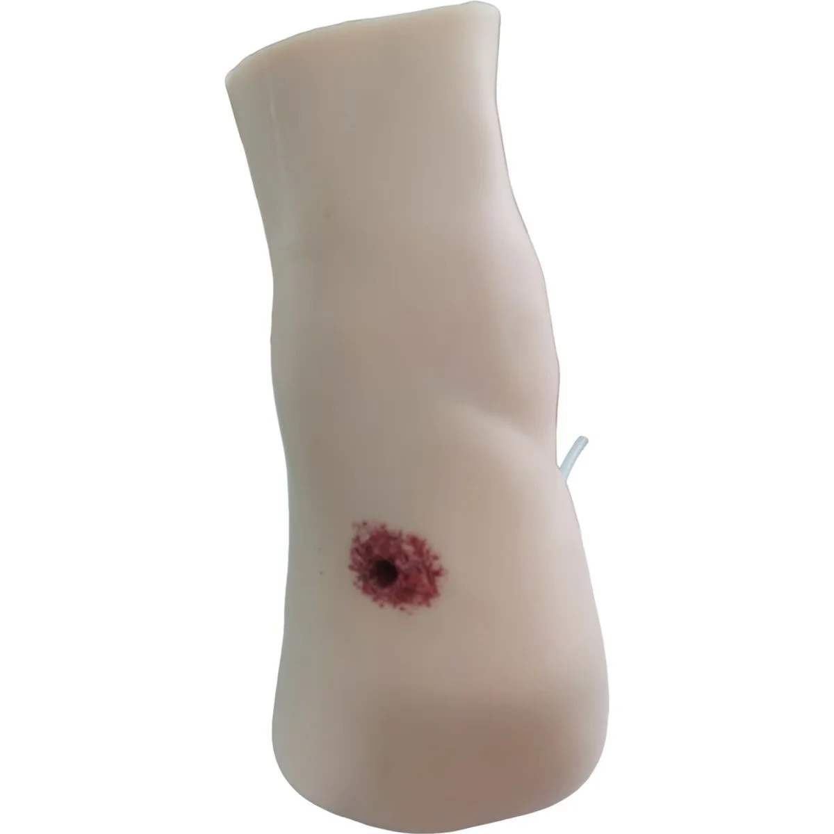 2026 Thigh Wound Model, Bleeding Control & Hemostasis Training Model, Trauma Model
2026 Thigh Wound Model, Bleeding Control & Hemostasis Training Model, Trauma Model