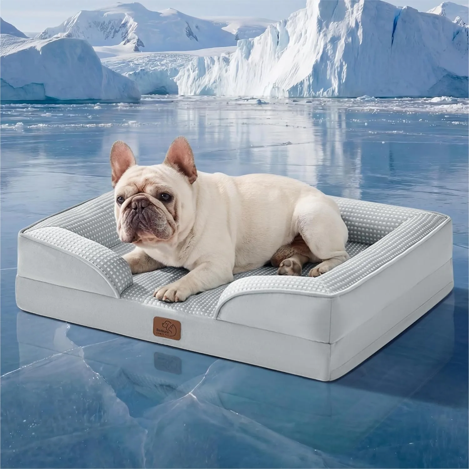 Orthopedic Cooling Dog Bed Medium Size Washable Waterproof Pet Sofa With Removable Cover And Nonskid Bottom For Dogs Cats 28 Inches
Orthopedic Cooling Dog Bed Medium Size Washable Waterproof Pet Sofa With Removable Cover And Nonskid Bottom For Dogs Cats 28 Inches