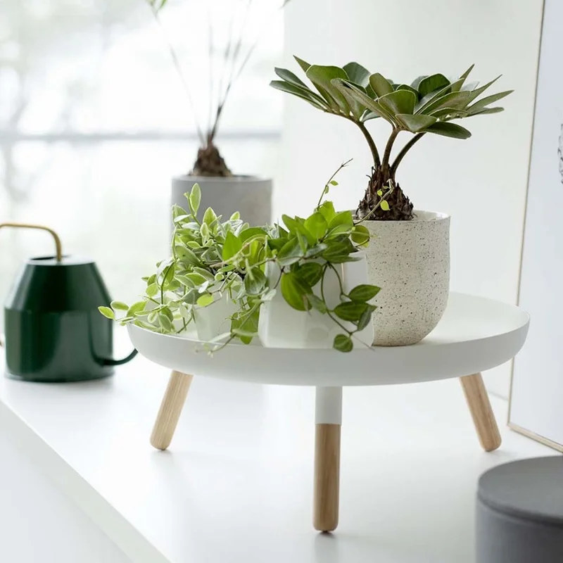 Decorative Plant Tray Stand High Footed Desktop Flower Pot Holder Succulent Organizer for Living Room Office Balcony Carbon S...
Decorative Plant Tray Stand High Footed Desktop Flower Pot Holder Succulent Organizer for Living Room Office Balcony Carbon S...