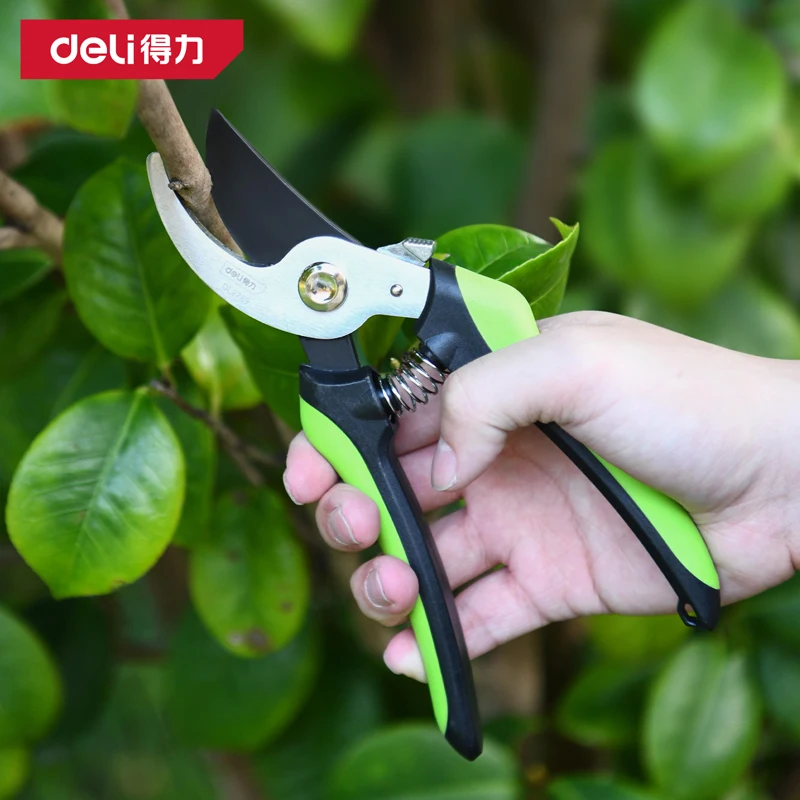 8-дюймовые легкие секаторы для обрезки, многофункциональные садовые инструменты для растений, плодовых деревьев, веток, бонсай, бытовые садовые ножницы
8-дюймовые легкие секаторы для обрезки, многофункциональные садовые инструменты для растений, плодовых деревьев, веток, бонсай, бытовые садовые ножницы