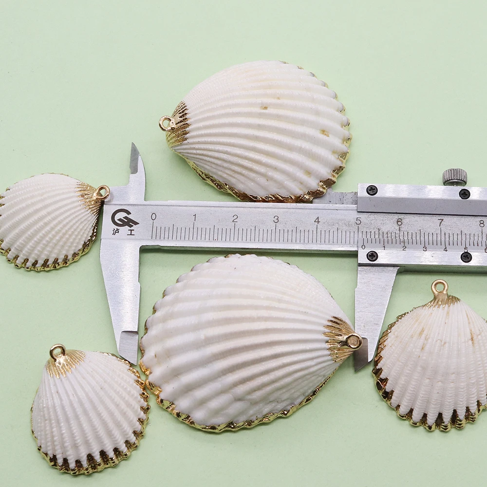 Natural Shell Scallop-shaped Conch Pendants-single-hole Pendants Materials DIY Accessories Necklace Charms Bracelet Making
Natural Shell Scallop-shaped Conch Pendants-single-hole Pendants Materials DIY Accessories Necklace Charms Bracelet Making