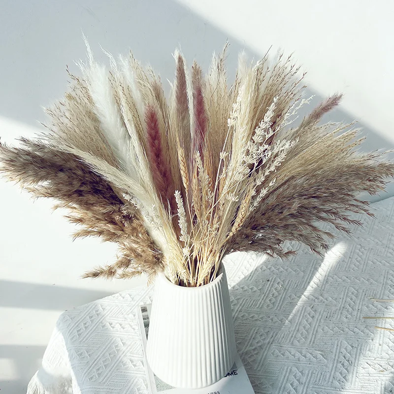 80PCS Natural Dried Pampa Grass Bouquet,Boho Home Decor Bouquet, Phragmites Dried Flowers,Bouquet for Wedding Ramadan Decoration
80PCS Natural Dried Pampa Grass Bouquet,Boho Home Decor Bouquet, Phragmites Dried Flowers,Bouquet for Wedding Ramadan Decoration