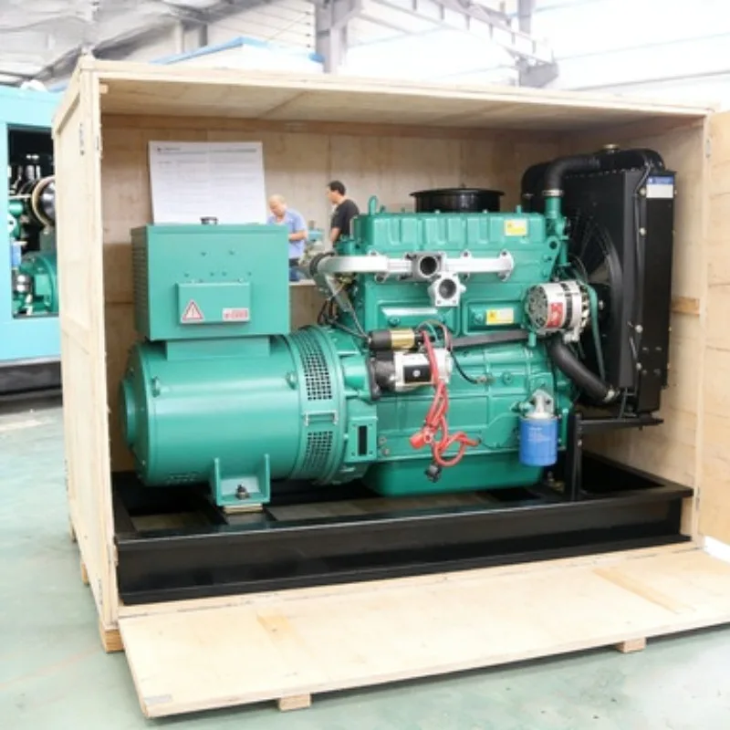 Soundproof Canopy Diesel Generator 30kVA for Residential and Small Business Backup
Soundproof Canopy Diesel Generator 30kVA for Residential and Small Business Backup
