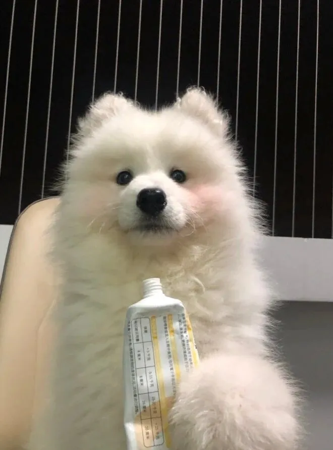 5-speed Suitable for Citroen C4 MK1 2004-2008 Gear Shift Handball Dust Cover Modification Gear Lever Gear Head Automotive Parts
5-speed Suitable for Citroen C4 MK1 2004-2008 Gear Shift Handball Dust Cover Modification Gear Lever Gear Head Automotive Parts