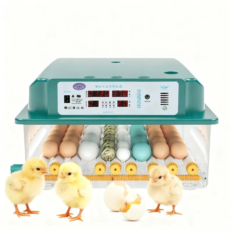 Single Power Supply Automatic Chicken Egg Hatcher Incubator Home Use Small Monolayer Machine for Hatching Goose Ostrich Duck
Single Power Supply Automatic Chicken Egg Hatcher Incubator Home Use Small Monolayer Machine for Hatching Goose Ostrich Duck