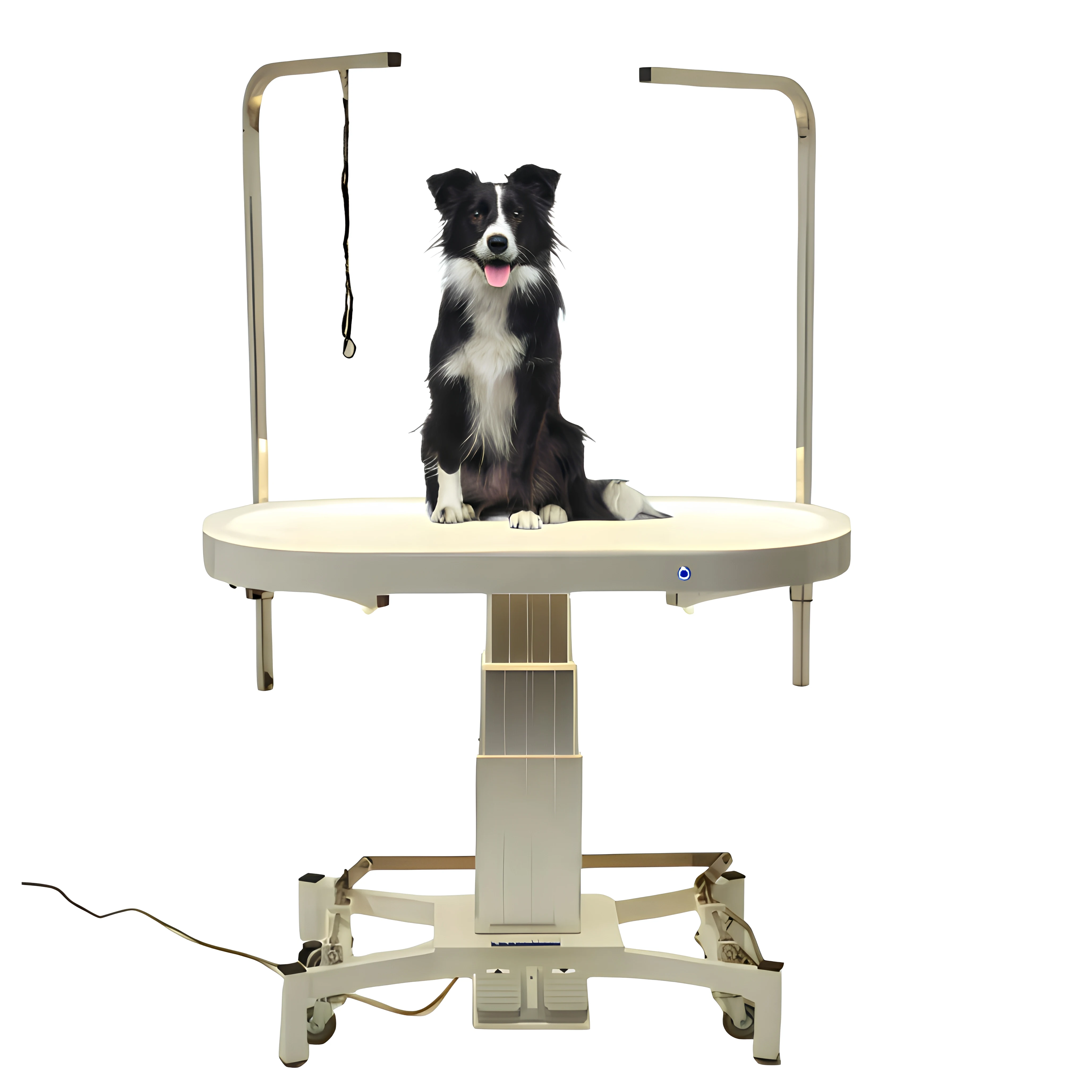 Design Professional LED Electric Lift Pet Grooming Table Electric Illuminated Pet Grooming Table for Dogs
Design Professional LED Electric Lift Pet Grooming Table Electric Illuminated Pet Grooming Table for Dogs
