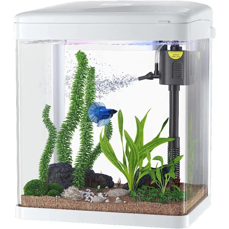 Betta Fish Tank, 2 Gallon Glass Aquarium, 3 in 1 Fish Tank with Filter and Light, Desktop Small Fish Tank
Betta Fish Tank, 2 Gallon Glass Aquarium, 3 in 1 Fish Tank with Filter and Light, Desktop Small Fish Tank