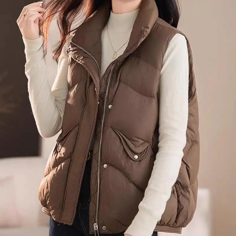 Белый женский пуховый жилет свободного кроя, зимний, новый, с воротником-стойкой, термозащитный, для повседневной носки, с тонким наполнителем, цветной
Белый женский пуховый жилет свободного кроя, зимний, новый, с воротником-стойкой, термозащитный, для повседневной носки, с тонким наполнителем, цветной