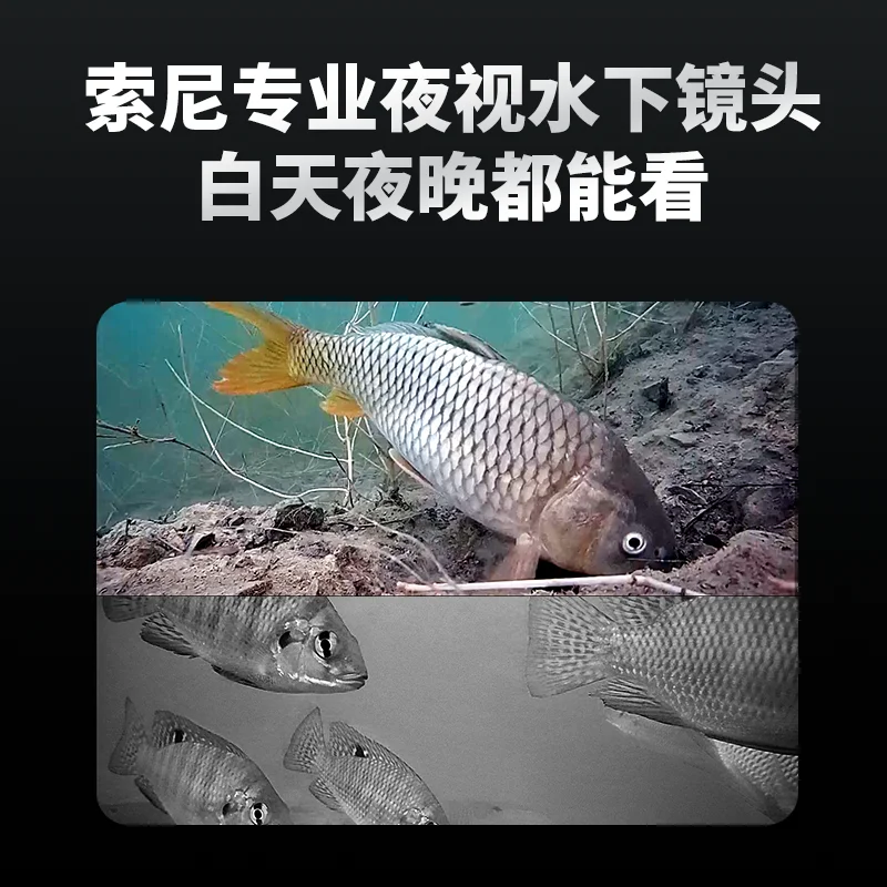 Submersible Sturgeon CF1 Visual High Definition Fishing Underwater Probe Underwater Fish Viewing Artifact
Submersible Sturgeon CF1 Visual High Definition Fishing Underwater Probe Underwater Fish Viewing Artifact
