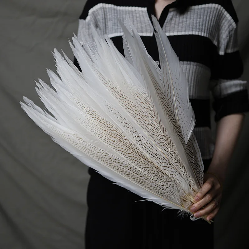 10Pcs/Lot Natural Silver Pheasant Feathers for Jewelry Making Decoration 10-75 cm White DIY Wedding Party Handicraft Accessories
10Pcs/Lot Natural Silver Pheasant Feathers for Jewelry Making Decoration 10-75 cm White DIY Wedding Party Handicraft Accessories