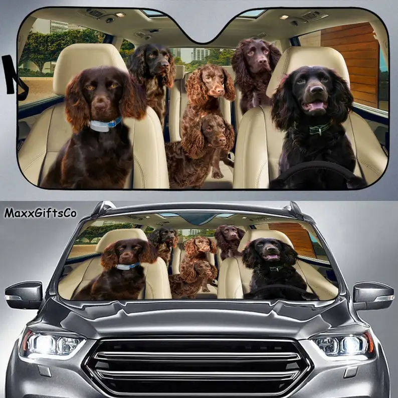 Автомобильный солнцезащитный козырек Boykin Spaniel, лобовое стекло Boykin Spaniel, семейный козырек для собак, аксессуары для собак, украшение автомобиля, подарок для папы
Автомобильный солнцезащитный козырек Boykin Spaniel, лобовое стекло Boykin Spaniel, семейный козырек для собак, аксессуары для собак, украшение автомобиля, подарок для папы