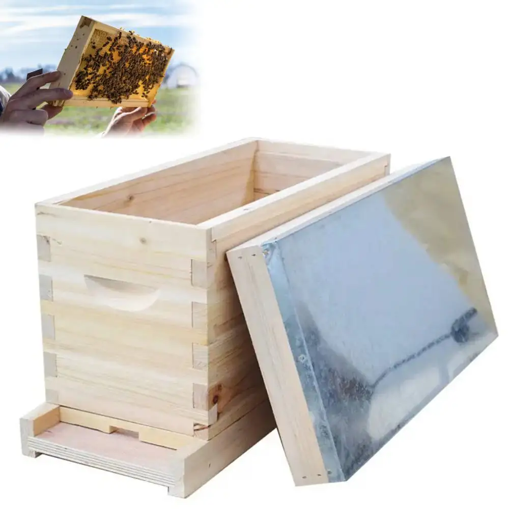 1 set 5-frame Nuc Beehive 5 Frame Nuc Beehive Flat Pack Nucleus Bee Hive Beekeeping Frames(Unassembled)
1 set 5-frame Nuc Beehive 5 Frame Nuc Beehive Flat Pack Nucleus Bee Hive Beekeeping Frames(Unassembled)